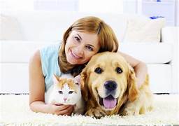 Top 10 sai lầm thường gặp của các “Sen” khi nuôi chó mèo lần đầu